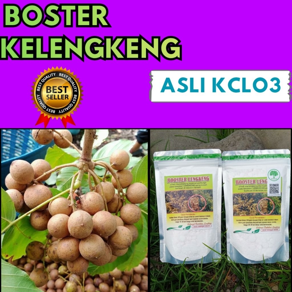 Pupuk Kelengkeng Cepat Berbuah, Pupuk Kelengkeng Kclo3