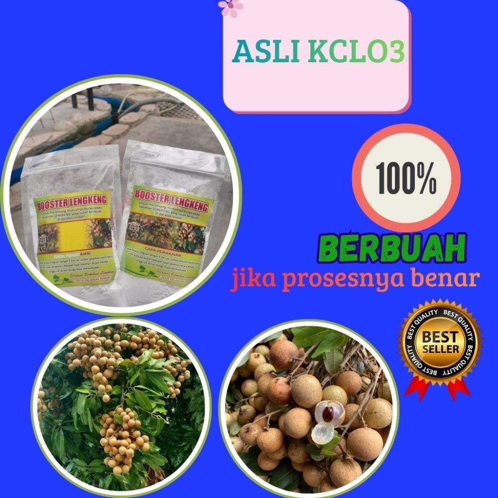 Pupuk Kelengkeng Cepat Berbuah, Pupuk Kelengkeng Kclo3