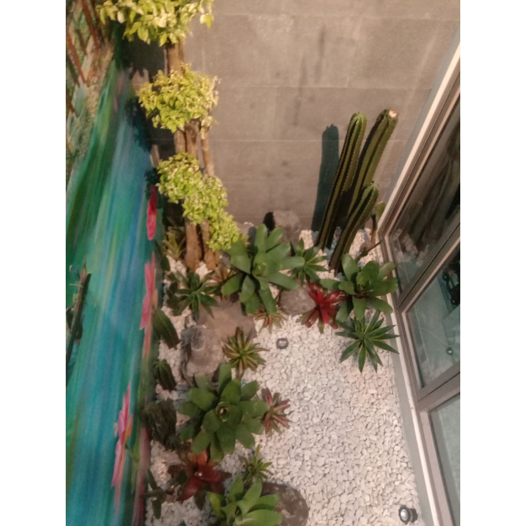 jasa pembuatan taman koral batu ala jepang pembuatan taman