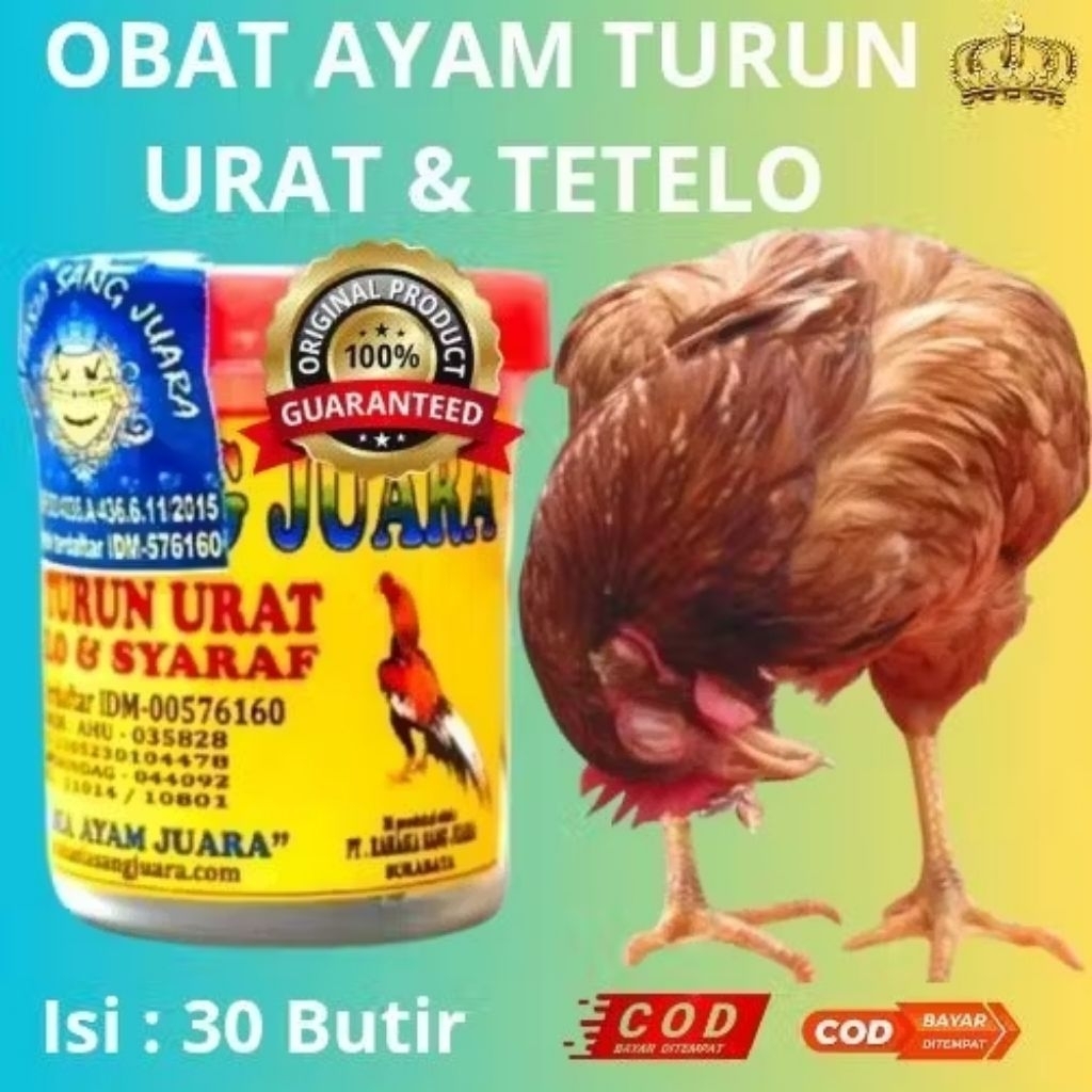 OBAT AYAM TURUN URAT,TETELO,LUMPUH