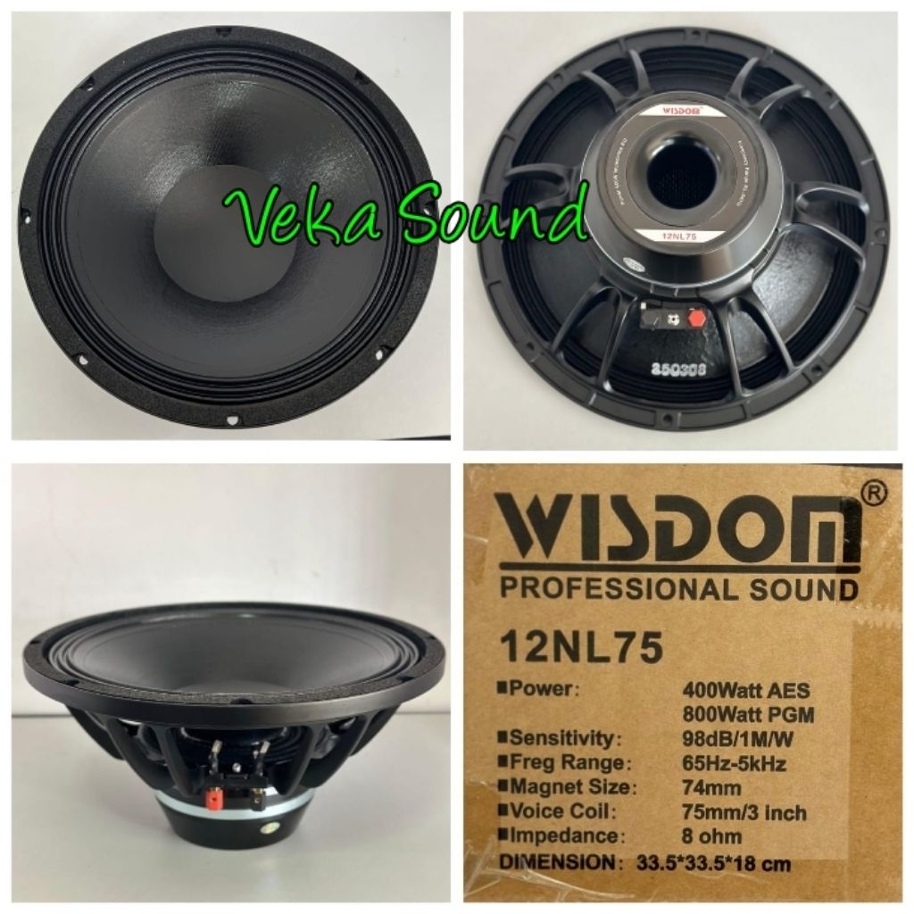 Speaker   Wisdom 12NL75 /12 NL 75/12NL 75 Original