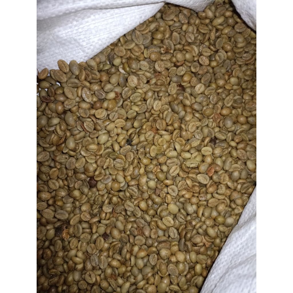 kopi robusta asalan (Temanggung)