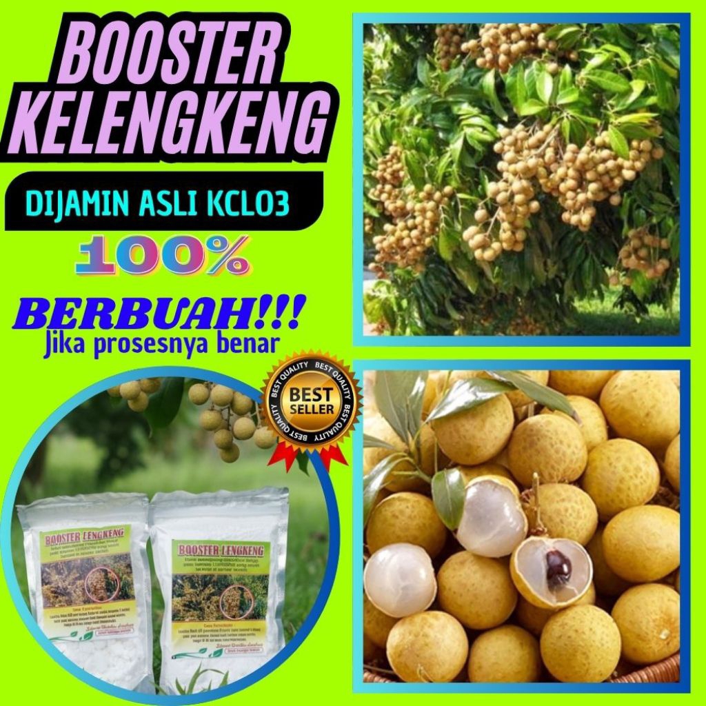 Boster Kelengkeng Terbaik, Boster Kelengkeng Terdekat, Boster Kelengkeng Untuk Mercon
