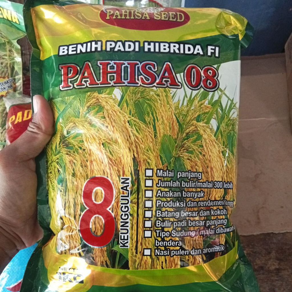 BENIH PADI HIBRIDA PAHISA 08