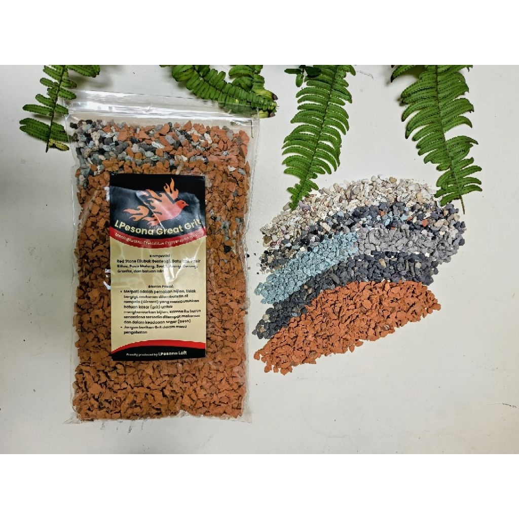 Grit Merpati LPesona Great Grit