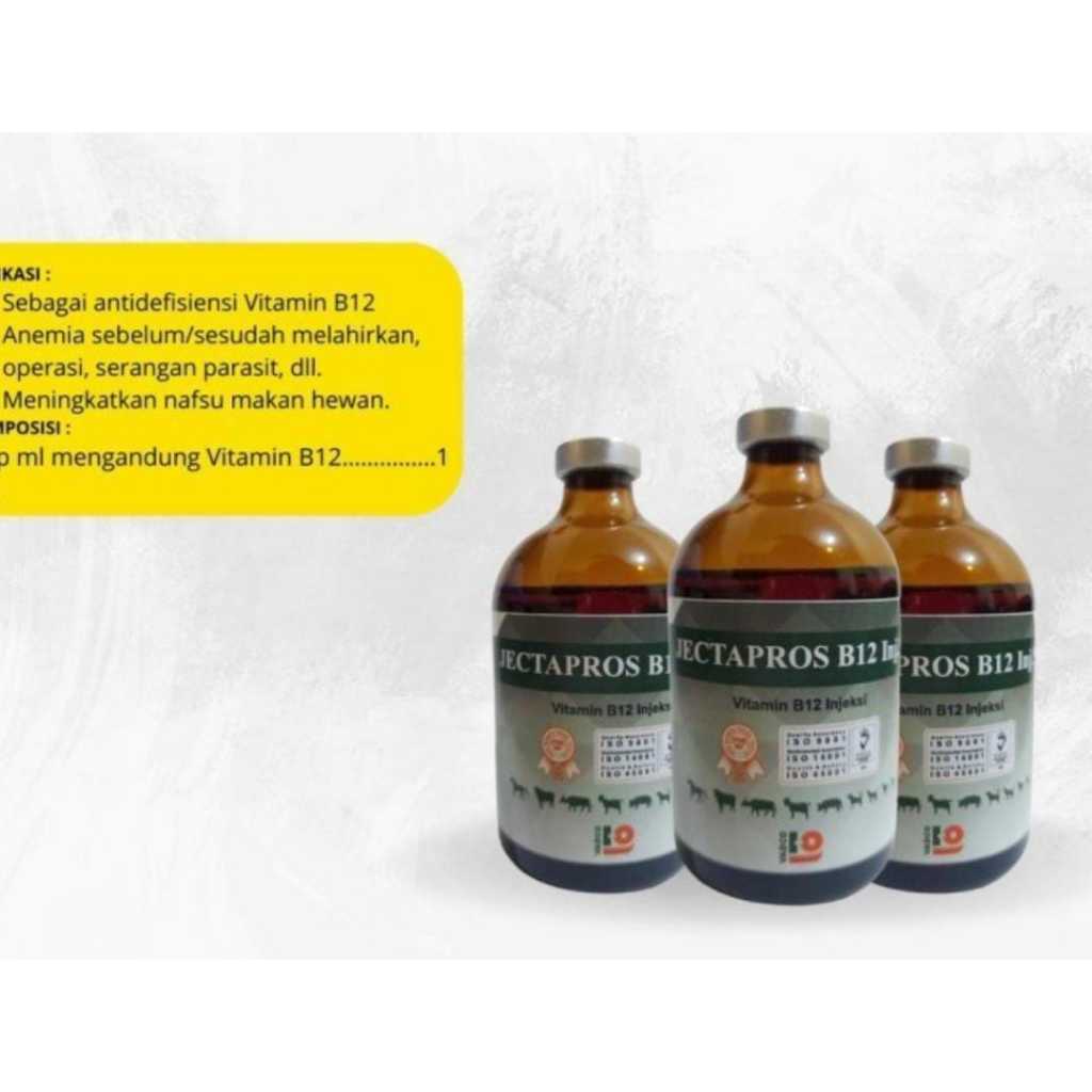 PREMIX- Vitamin B12 JECTAPROS B12 100ML - Vitamin B12 Injeksi Hewan Ternak Sapi Kambing Kuda Domba B