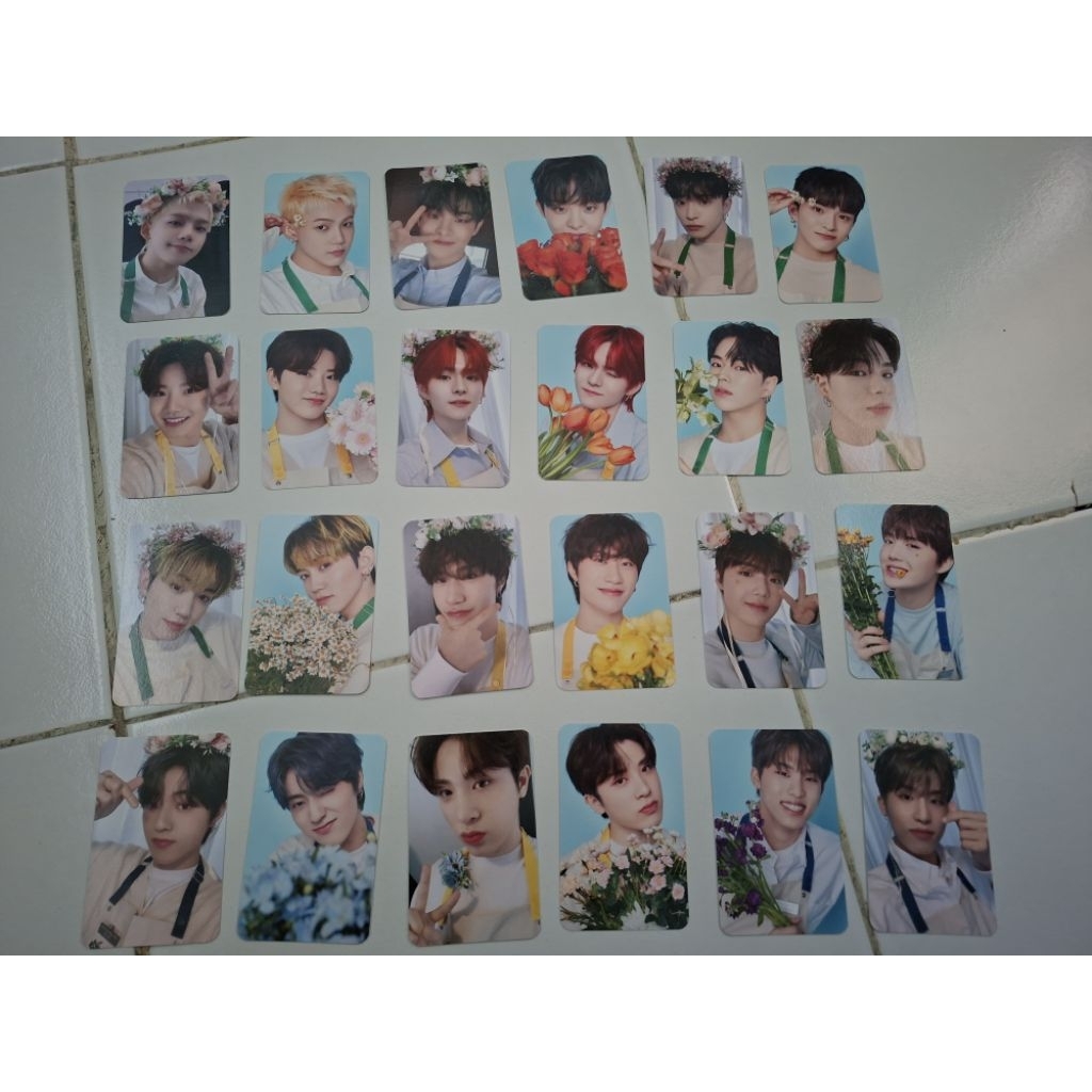 Photocard treasure blooming season