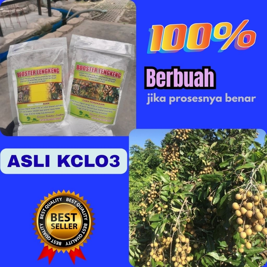 Booster Kelengkeng Serbuk, Booster Kelengkeng Terbaik, Booster Kelengkeng Terdekat
