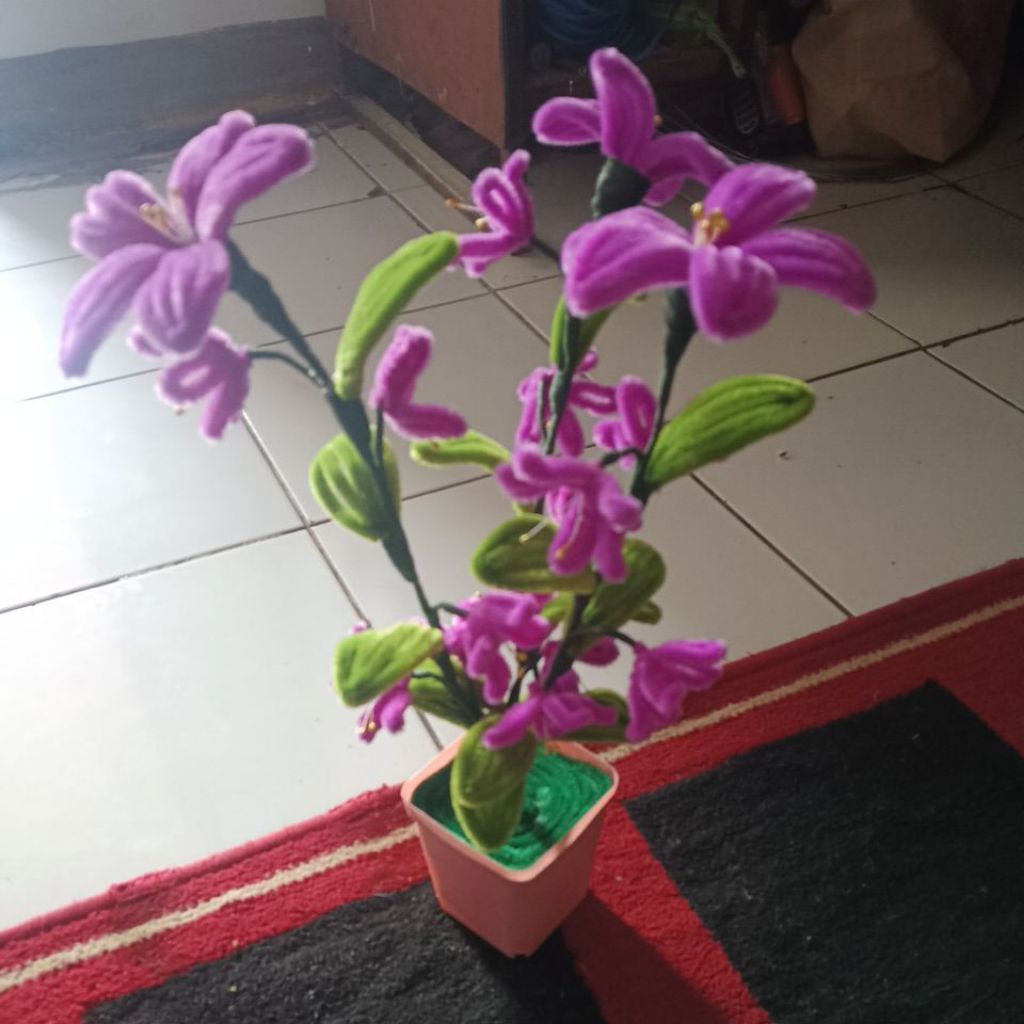 bunga warna ungu yg cantik