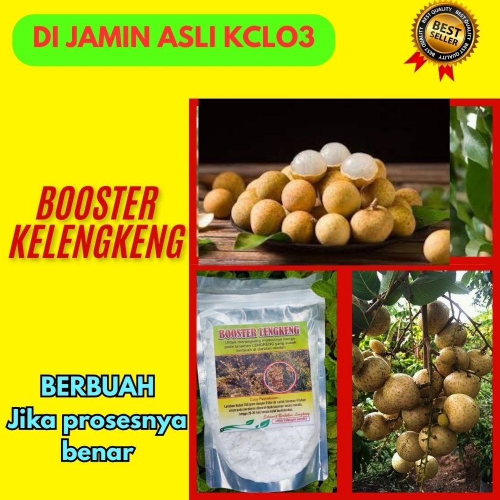 Booster Kelengkeng Serbuk, Booster Kelengkeng Terbaik