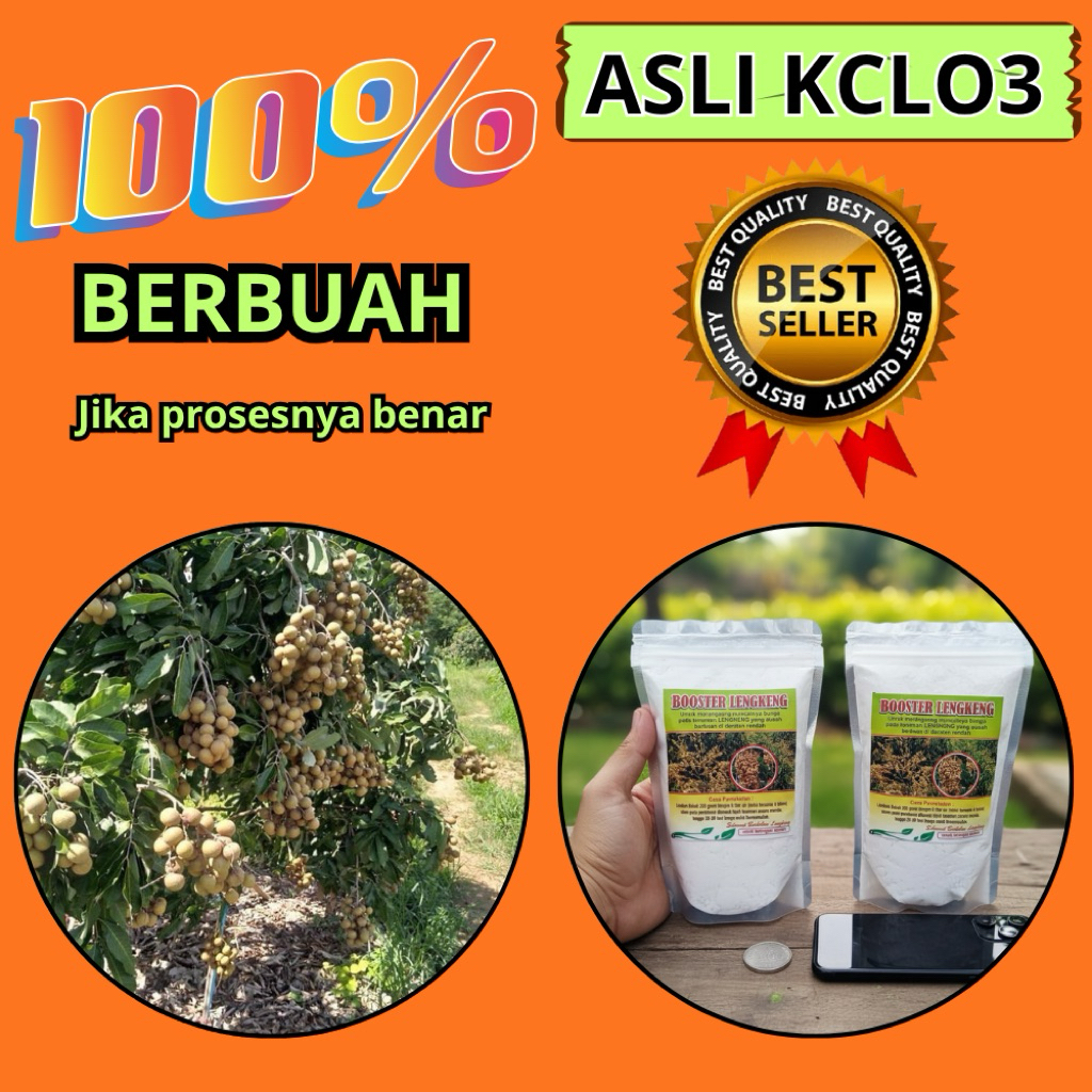 Booster Kelengkeng Kclo3, Booster Kelengkeng Kalium Klorat, Booster Kelengkeng Murni 1 Kg