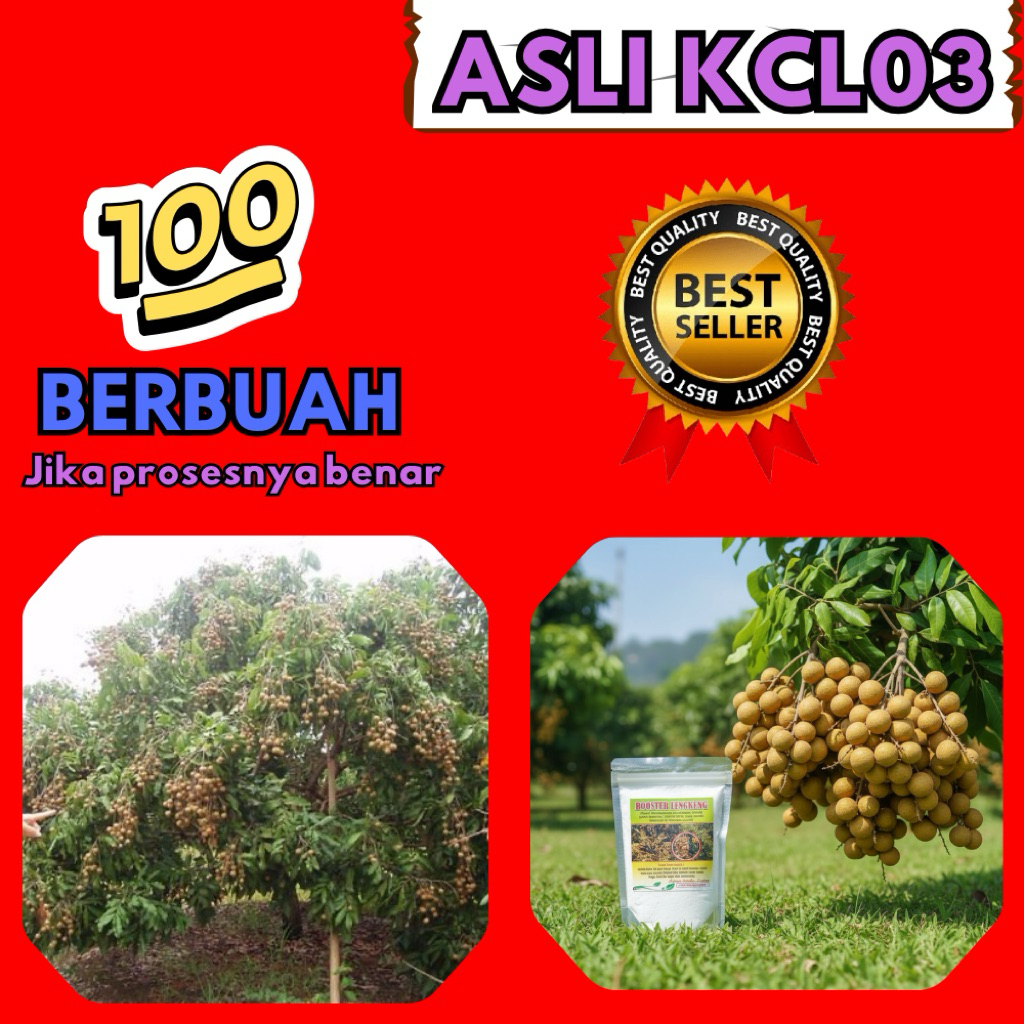 Booster Kelengkeng 1Kg