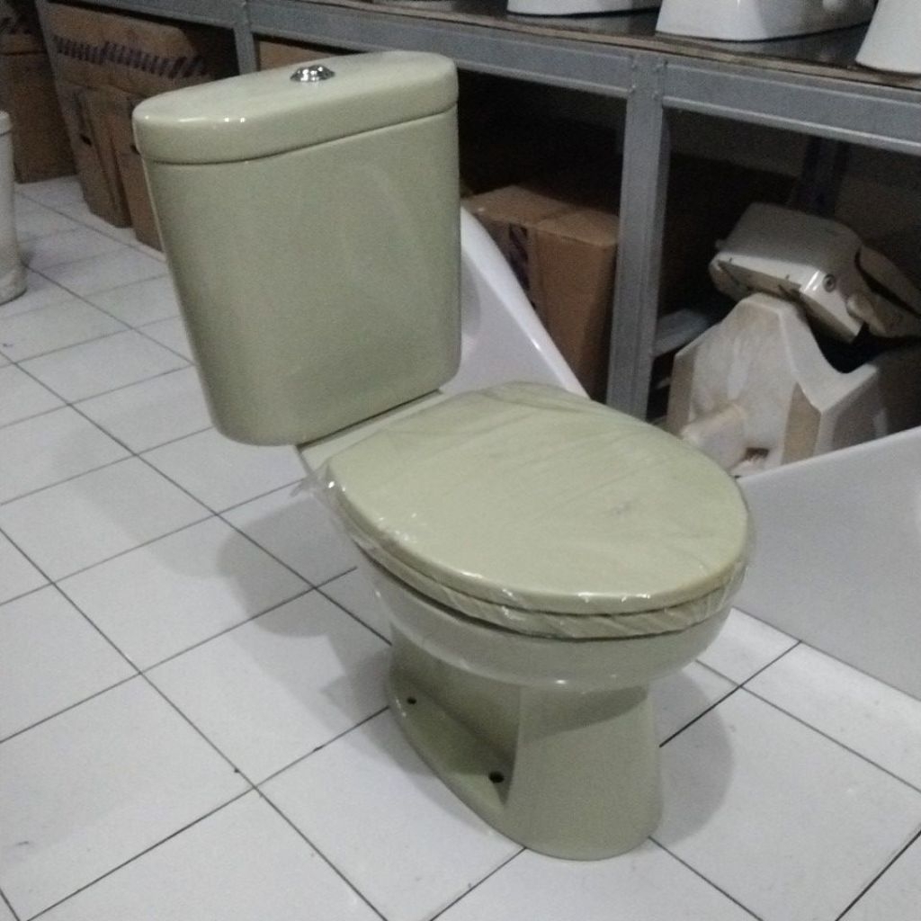 TOTO CW 420 J closet kloset klosed toilet duduk TOTO CW 420 JP warna hijau muda jarak as 50cm