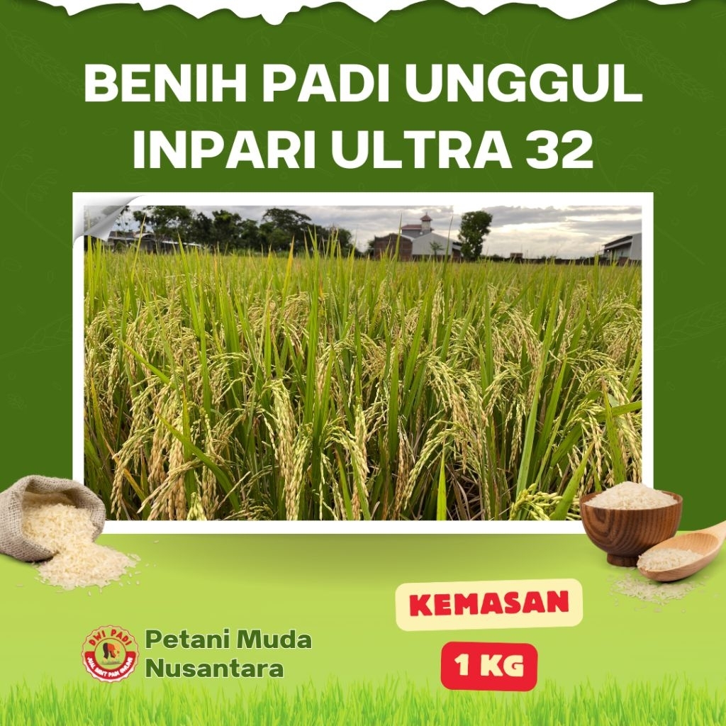 INPARI ULTRA 32 Kemasan 1Kg Benih Padi Unggul VARIETAS terbaik 2025, Kualitas terjamin 100%Original
