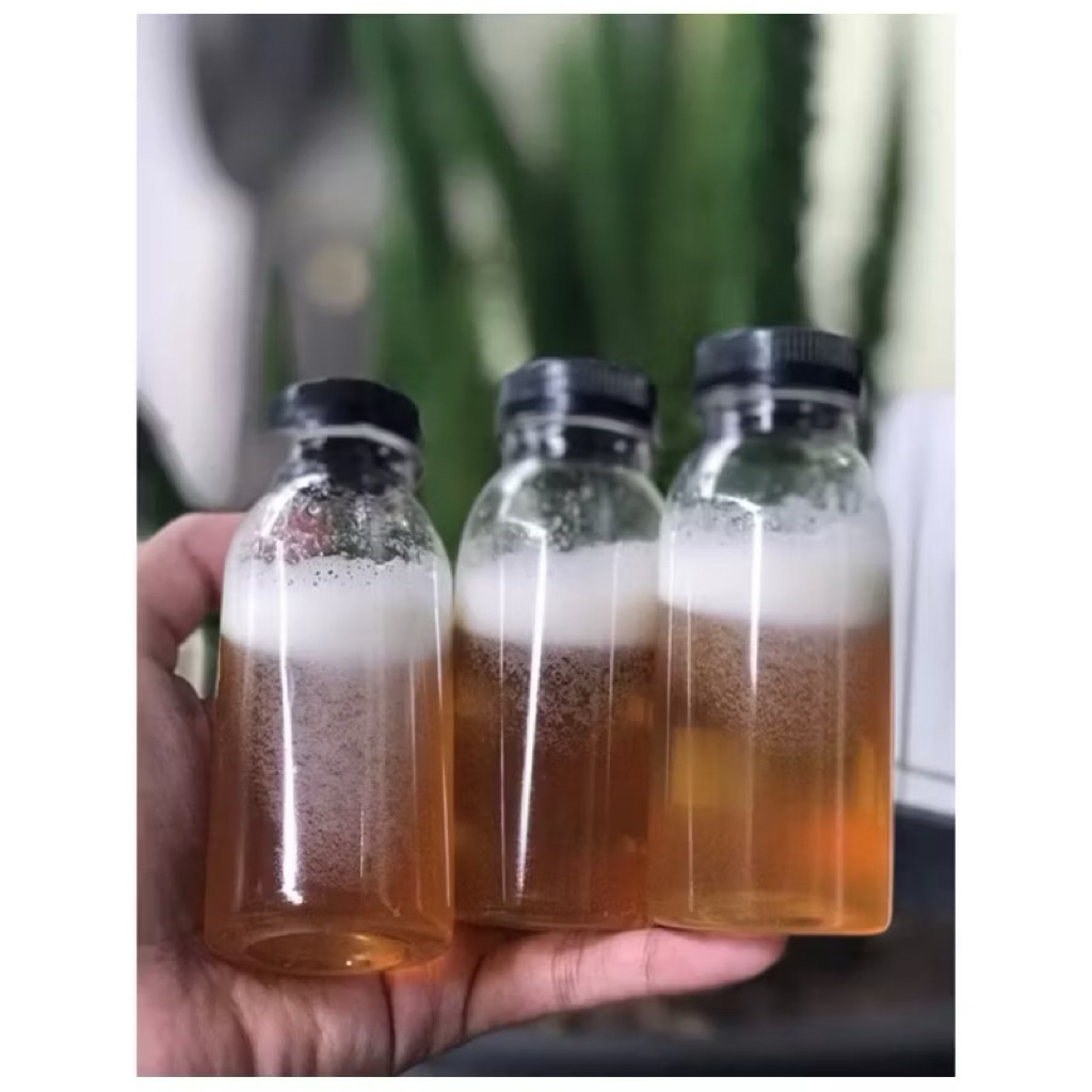 MADU KELULUT TORASIKA 100% ASLI TANPA CAMPURAN