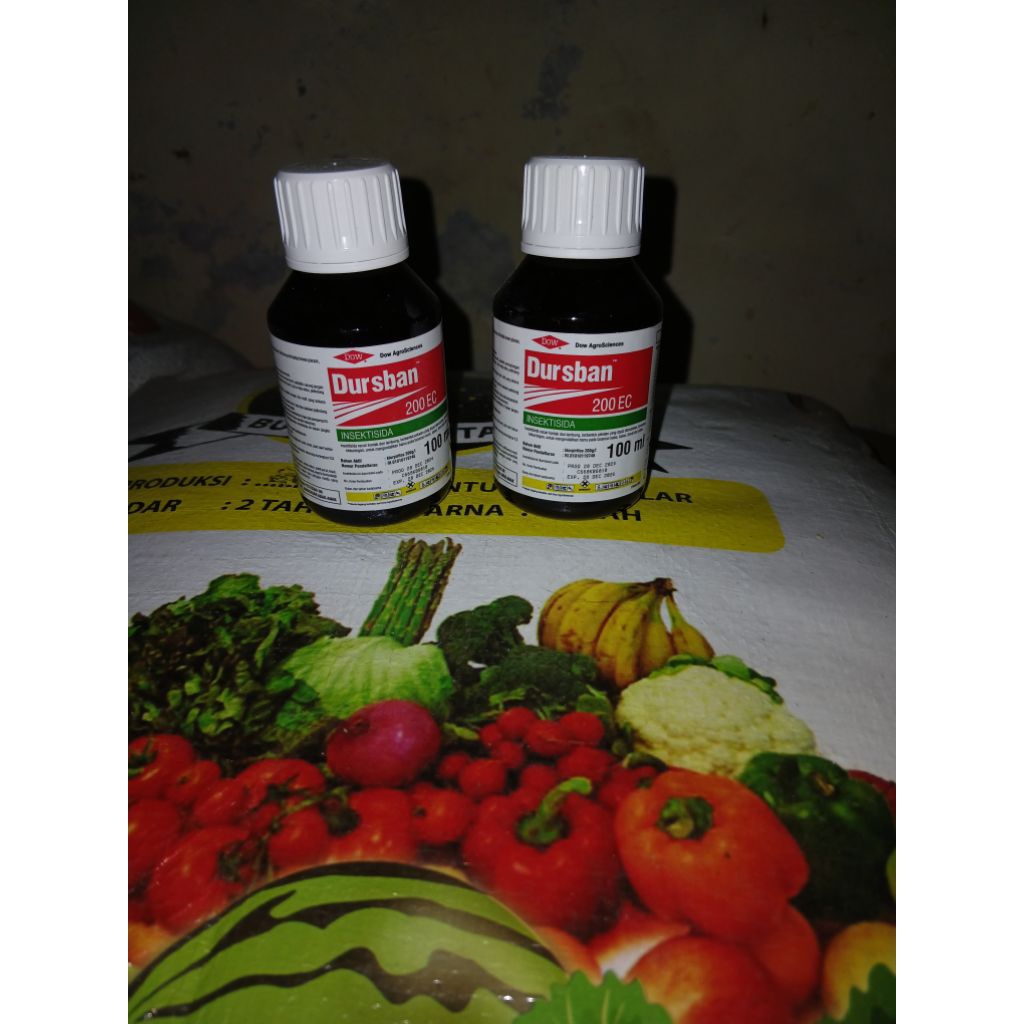 Insektisida Dursban 200 EC 100 ML