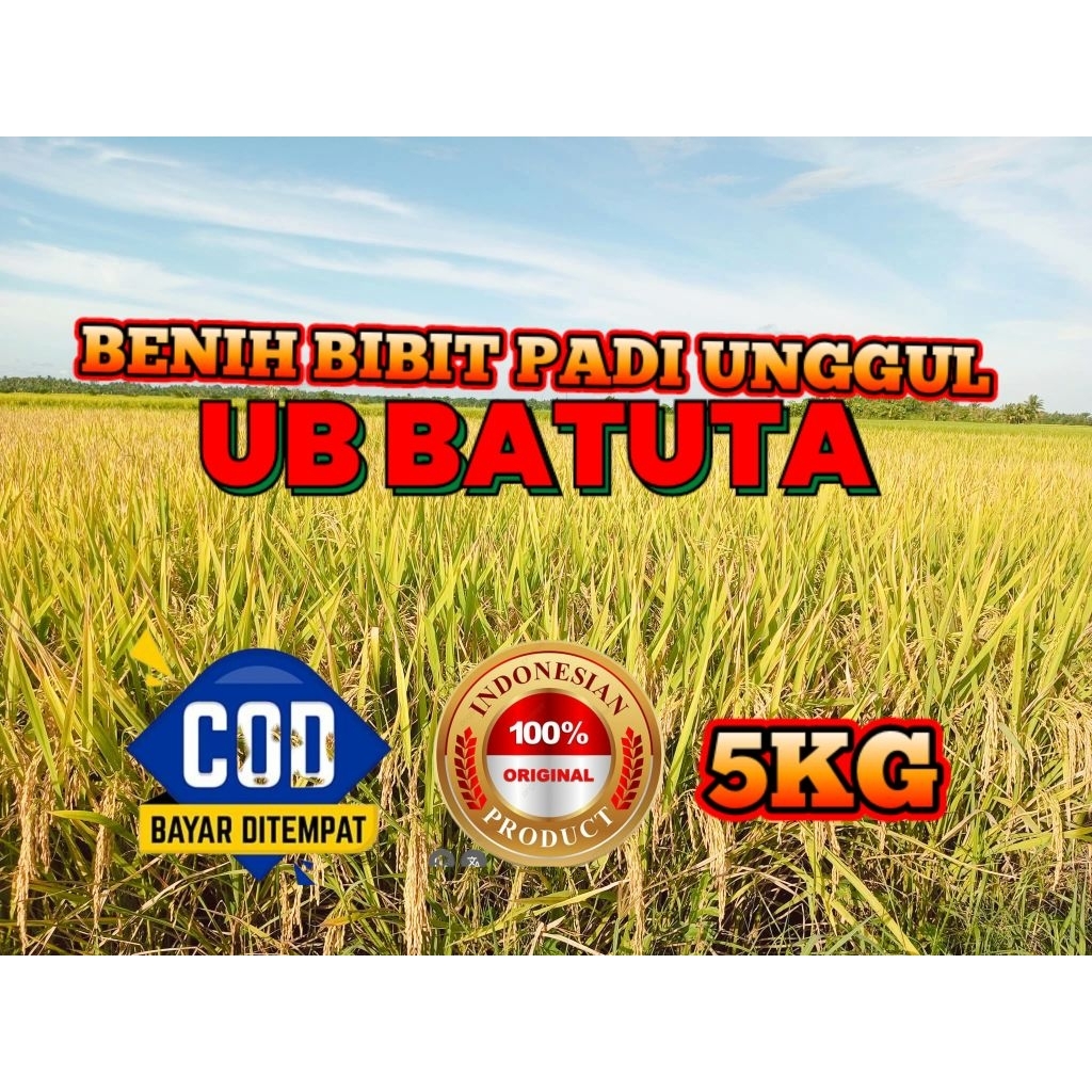 BENIH BIBIT PADI UB BATUTA KEMASAN 5KG