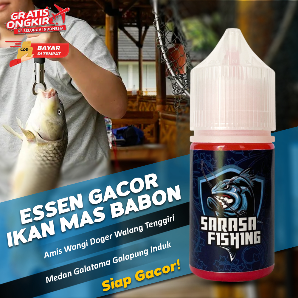 Essen Ikan Mas Indukan Babon Medan Galatama Galapung Amis Wangi Doger Walang Tenggiri Paling Ampuh
