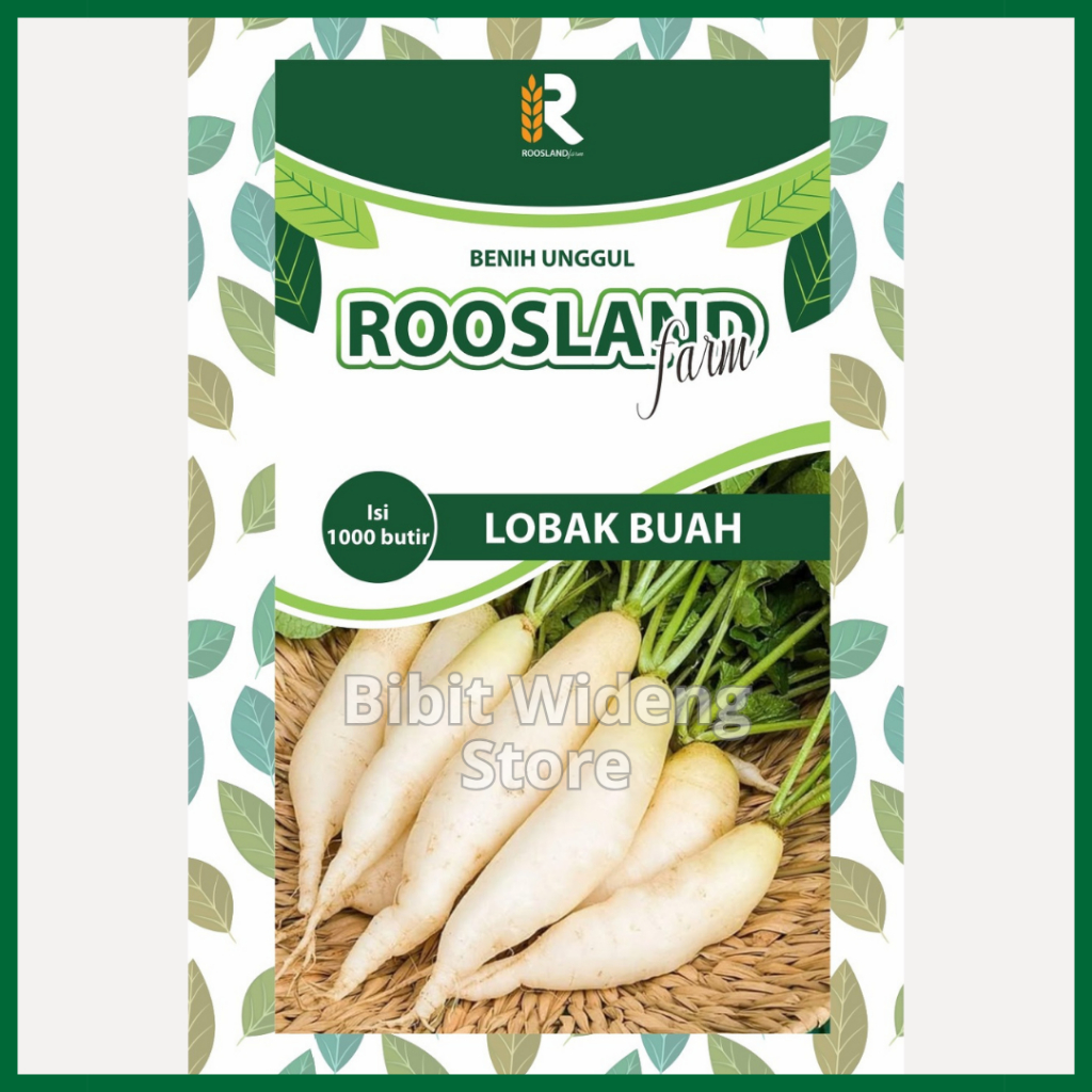 ( 1.000 BENIH ) LOBAK BUAH PUTIH | LOBAK BUAH | LOBAK PUTIH ASIA