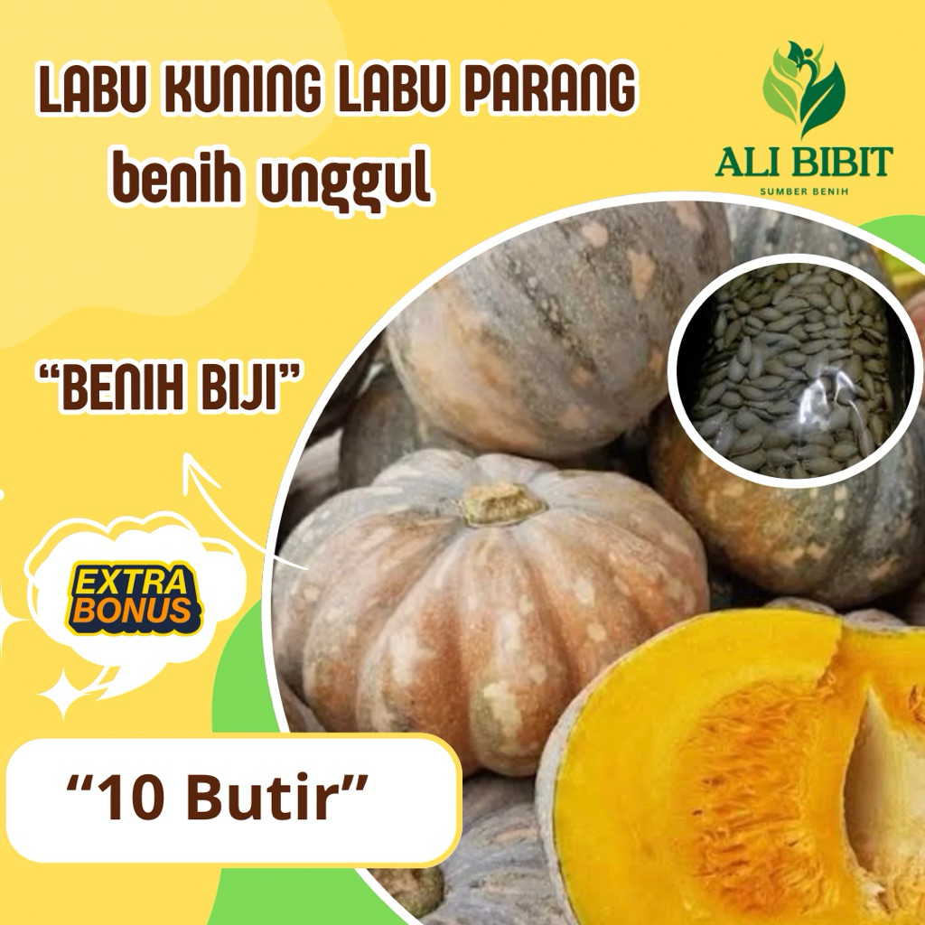 Benih Bibit> Biji Benih Labu Kuning> Bibit Labu > Bonus benih