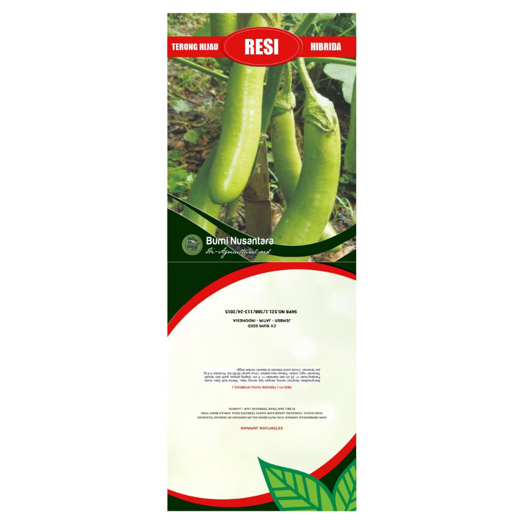 terong hijau hibrida(Resi f1)
