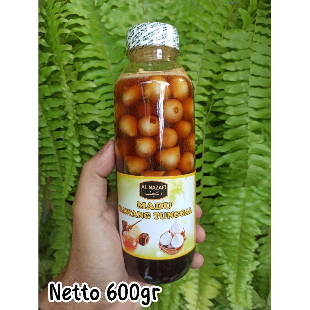 Bawang lanang madu bawang putih tunggal