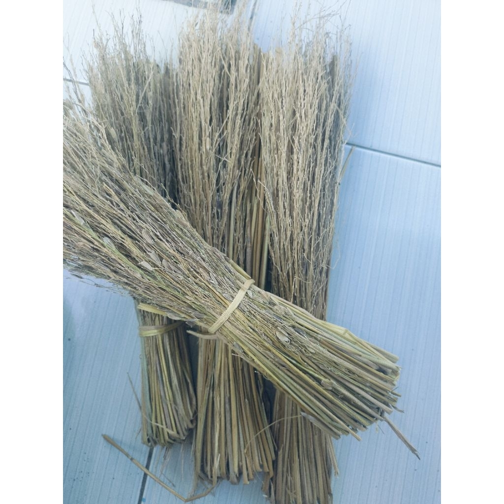 Sapu ketan hitam jerami ketan hitam