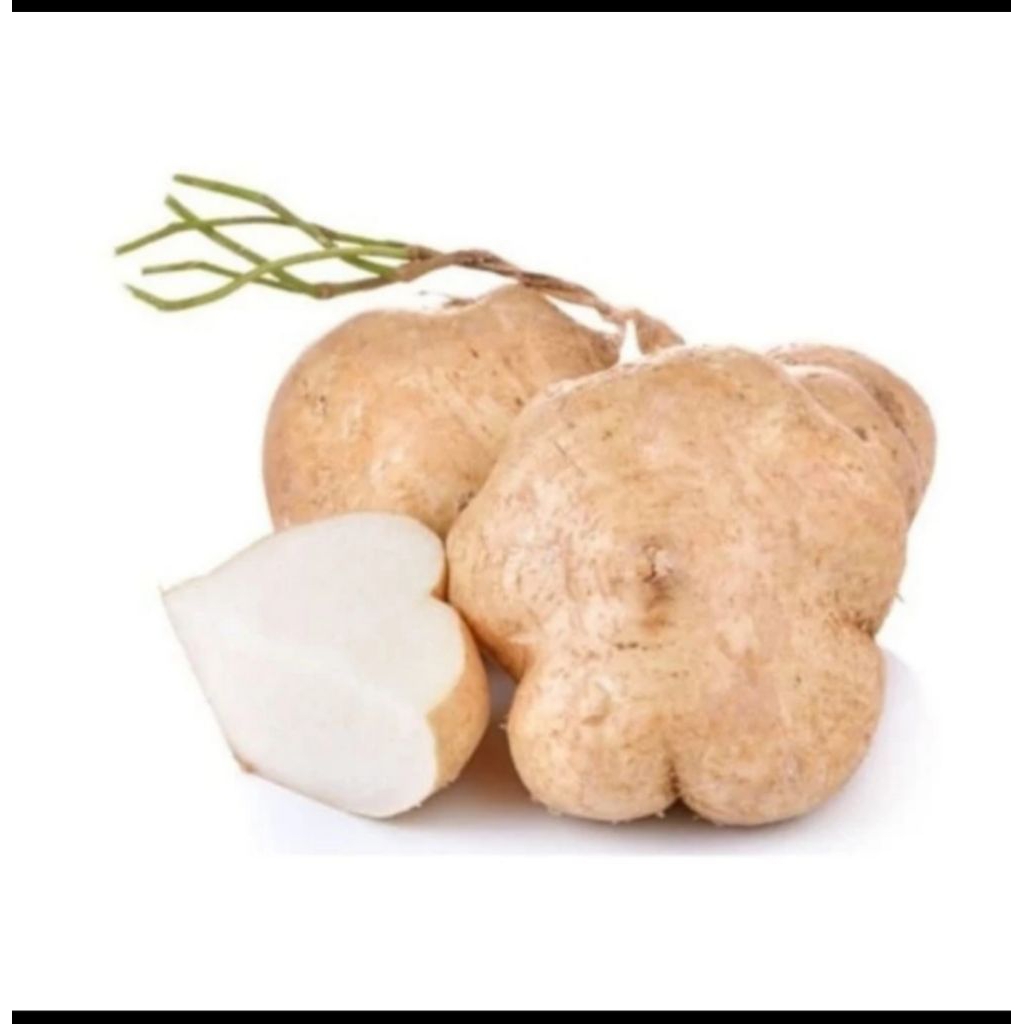 Buah Bengkoang Segar