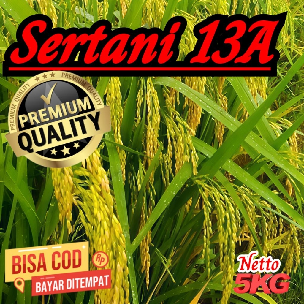 bibit benih berkualitas padi Sertani 13 A kemasan 5kg