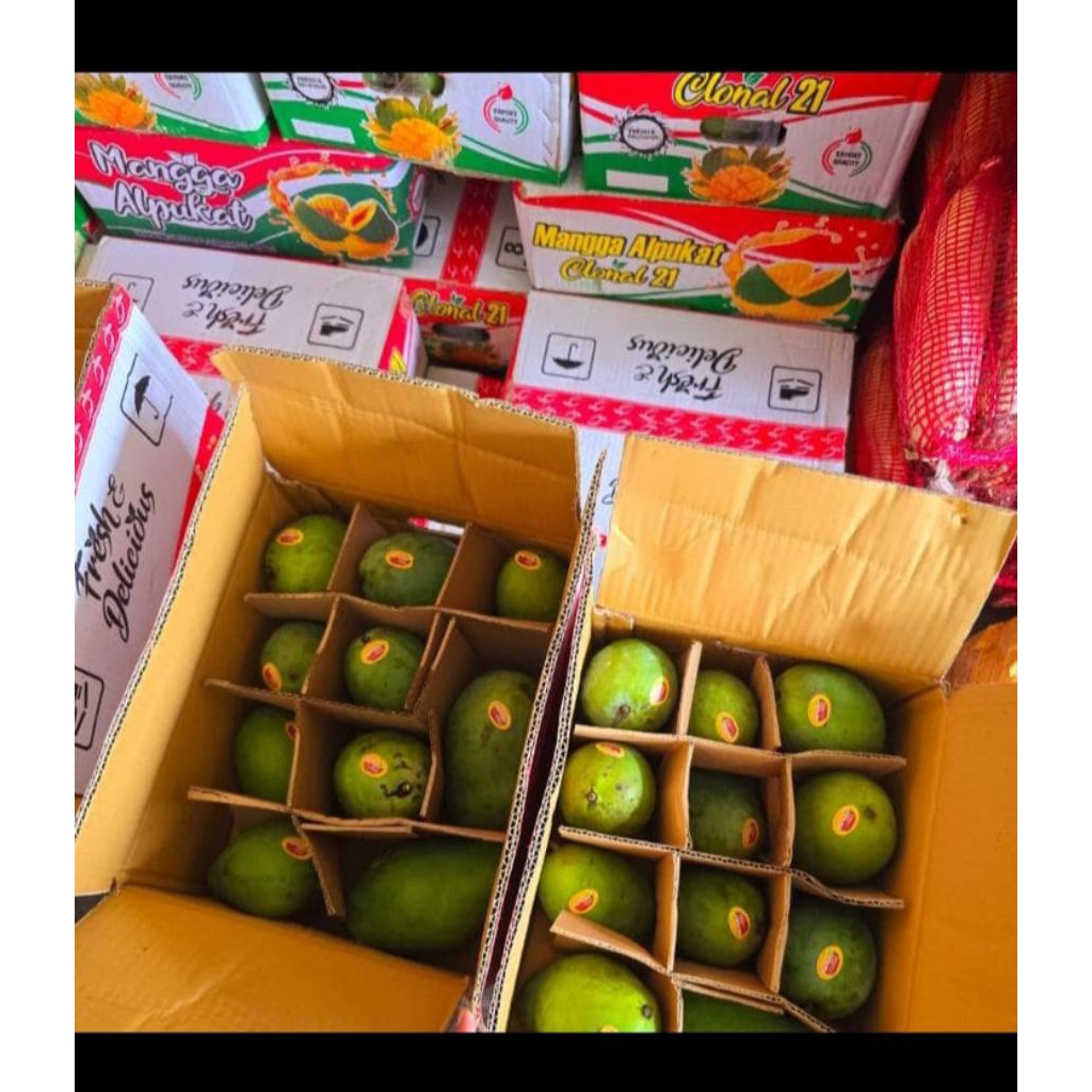 MANGGA ALPUKAT 1DUS || ASLI BANGIL