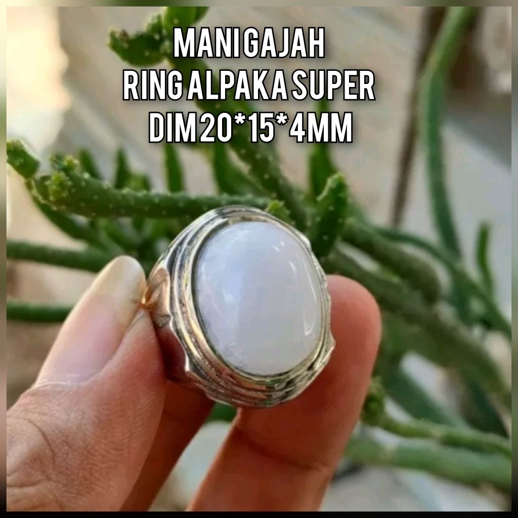 CINCIN PRIA BATU MANI GAJAH RING ALPAKA SUPER