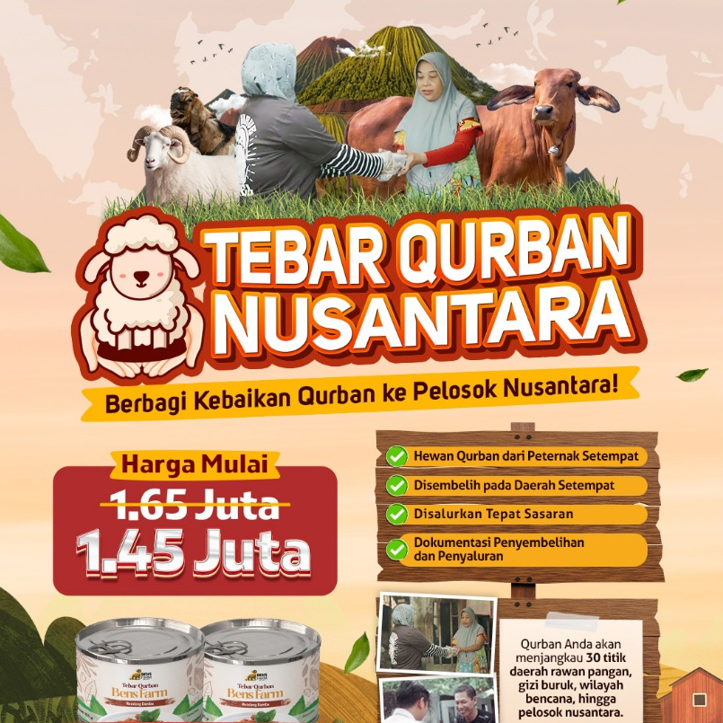 Tebar Qurban Nusantara Kambing Hidup Murah Domba