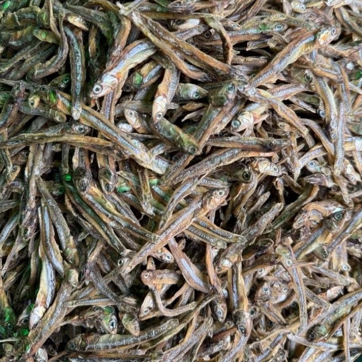 Ikan Mairo Kering - Pasar Makassar