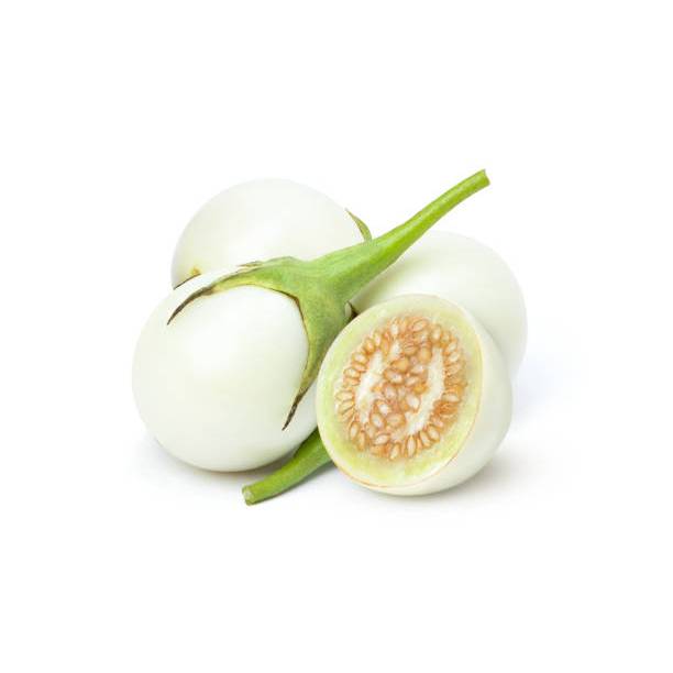 BIBIT TERONG BULAT PUTIH MURAH AYO COD