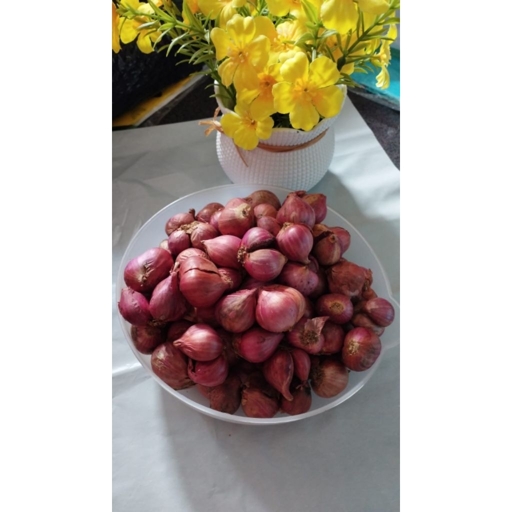 BAWANG MERAH PROBOLINGGO LOKAL 1 KG - BAWANG MERAH PROBOLINGGO