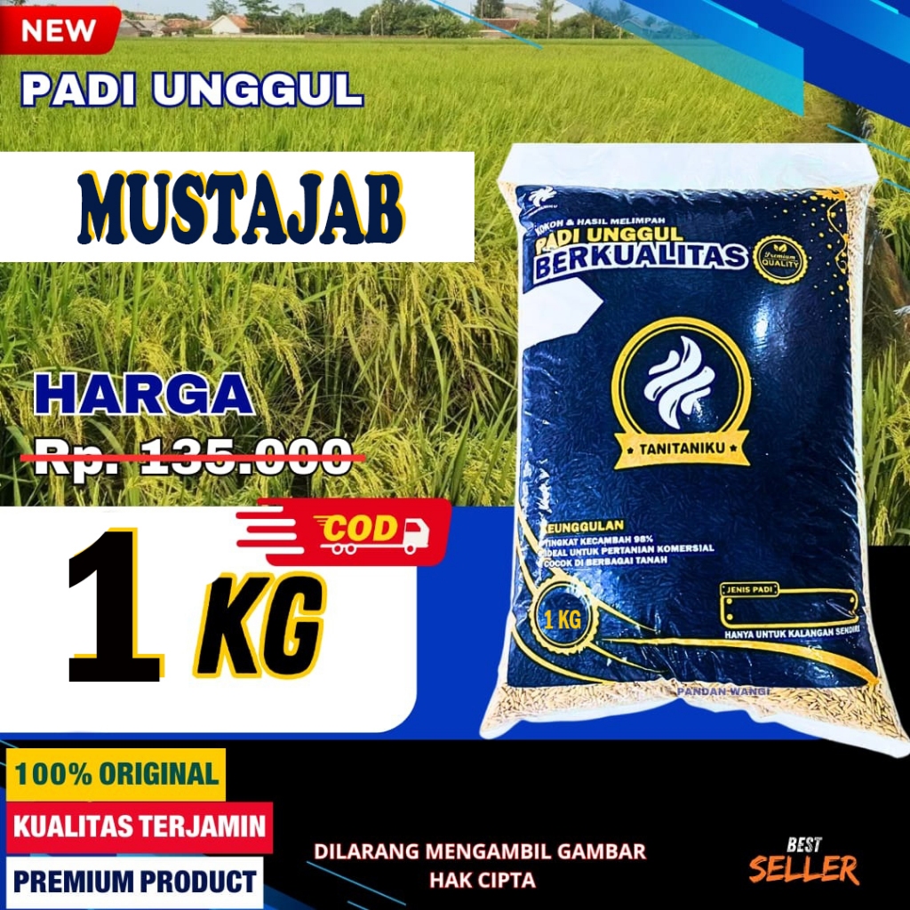Benih Padi Mustajab Kemasan 1kg
