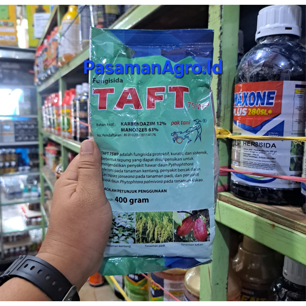 FUNGISIDA TAFT 75 WP - 400 GRAM