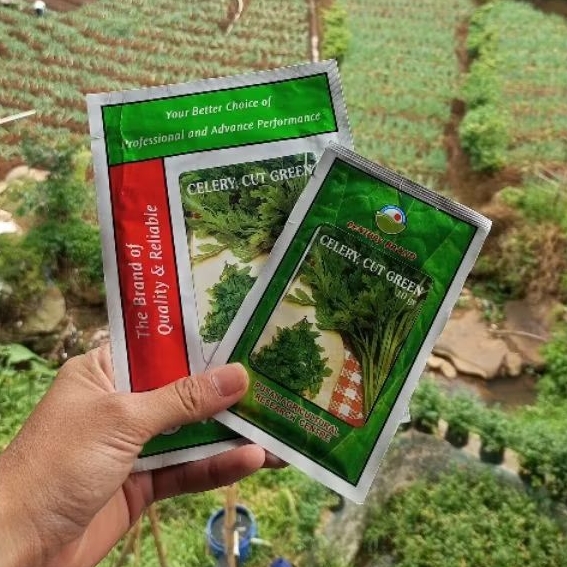 CELERY CUT GREEN (BENIH)