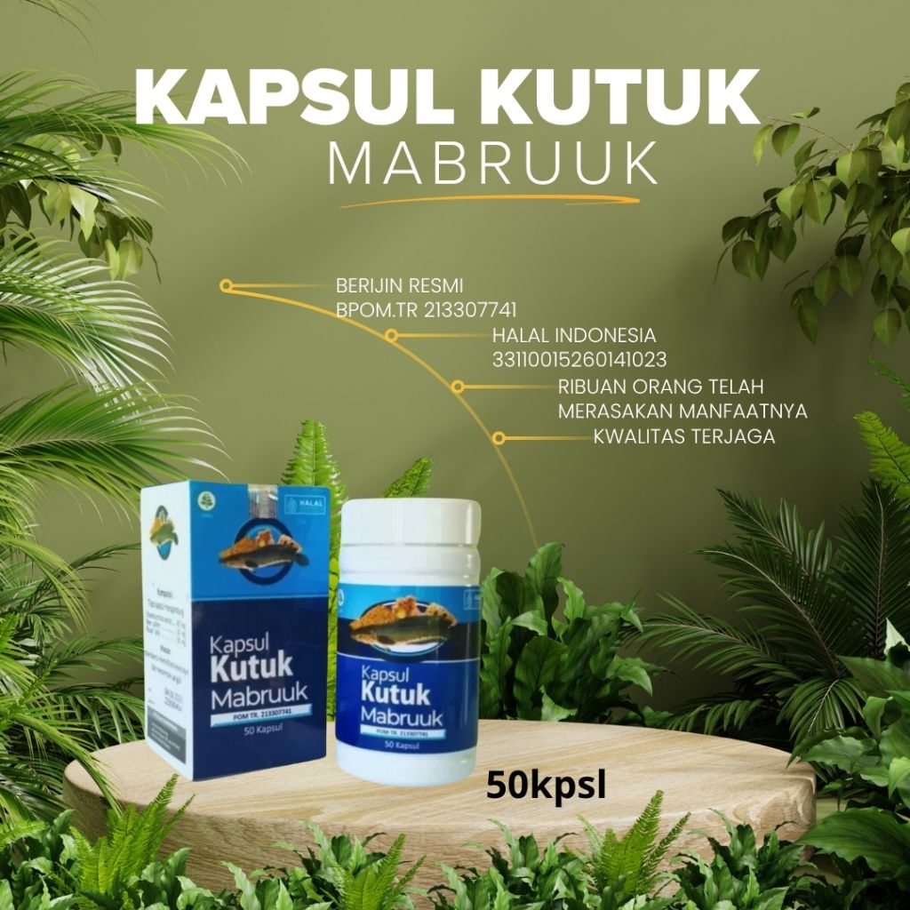 kapsul kutuk mabruuk/ kapsul ikan gabus