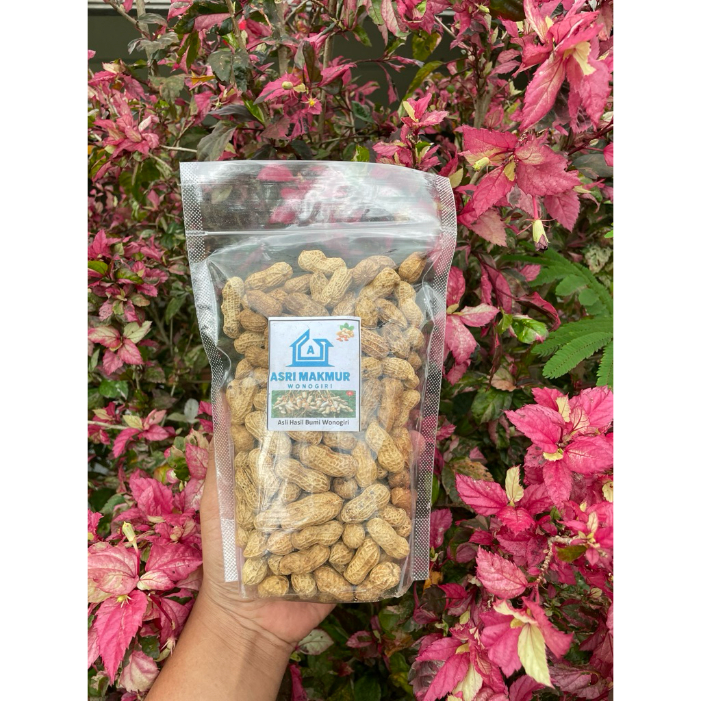 Kacang Tanah Oven - Kacang Snack Wonogiri 250gr