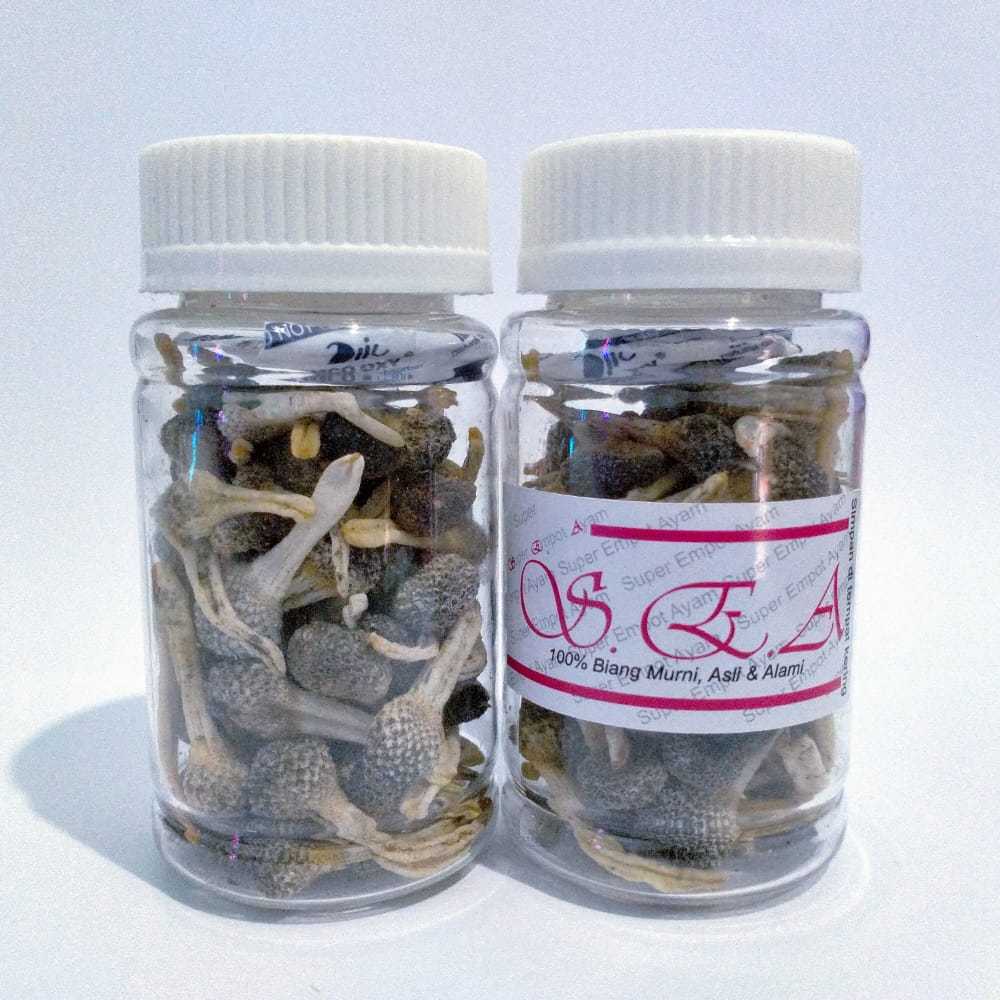 (30gr)  SUPER Empot Ayam PUTIH Asli UTUH Empot Biang Mpot utk keputihan kesed keset