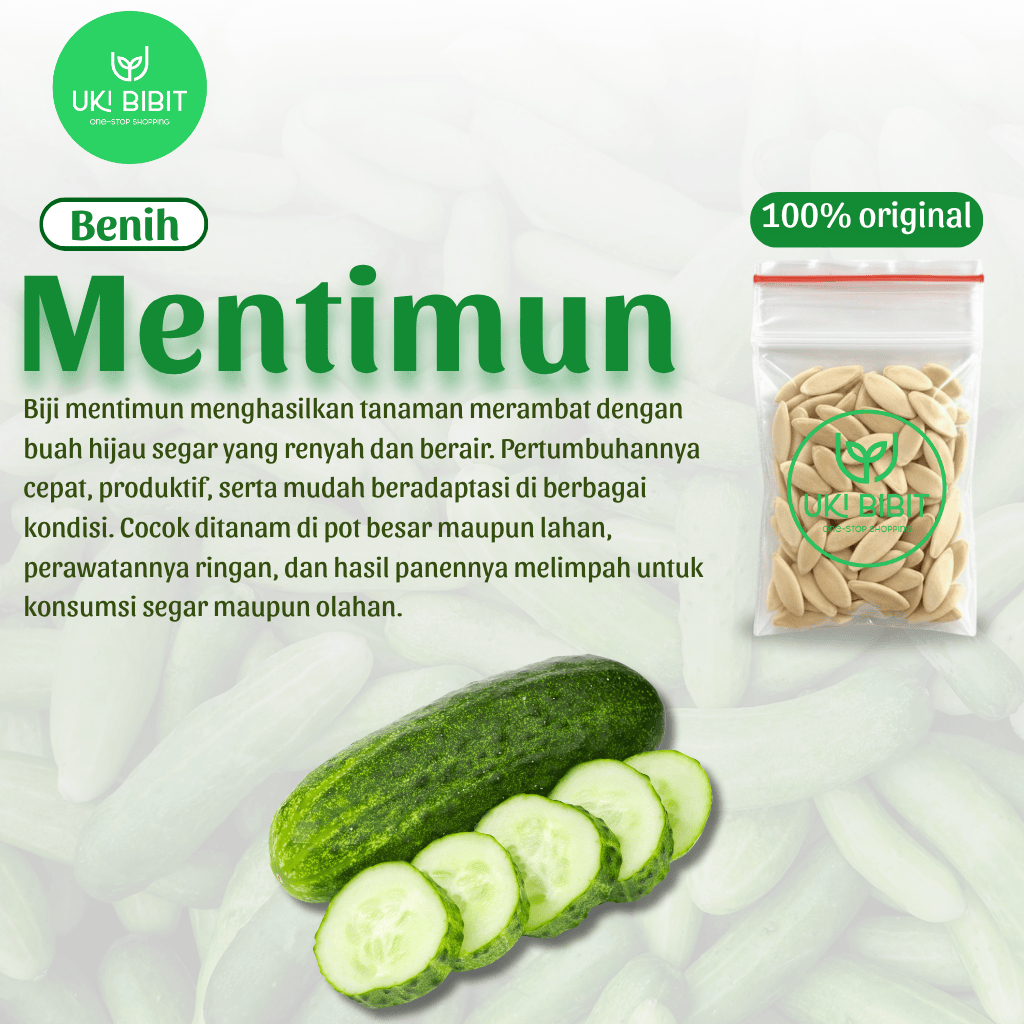 ( 100 Gram ) Benih Biji Timun | Sayuran Mentimun Lalap | Timun Lalapan | Ketimun