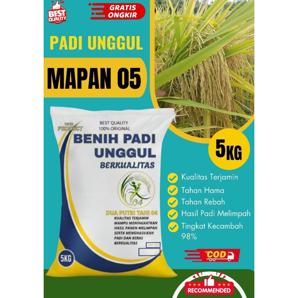 Benih padi unggul mapan 5kg