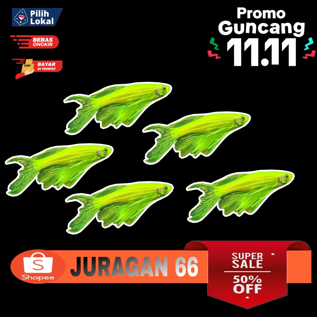 DANIO HIJAU SLAYER TERLARIS MURAH / IKAN HIAS AQUASCAPE