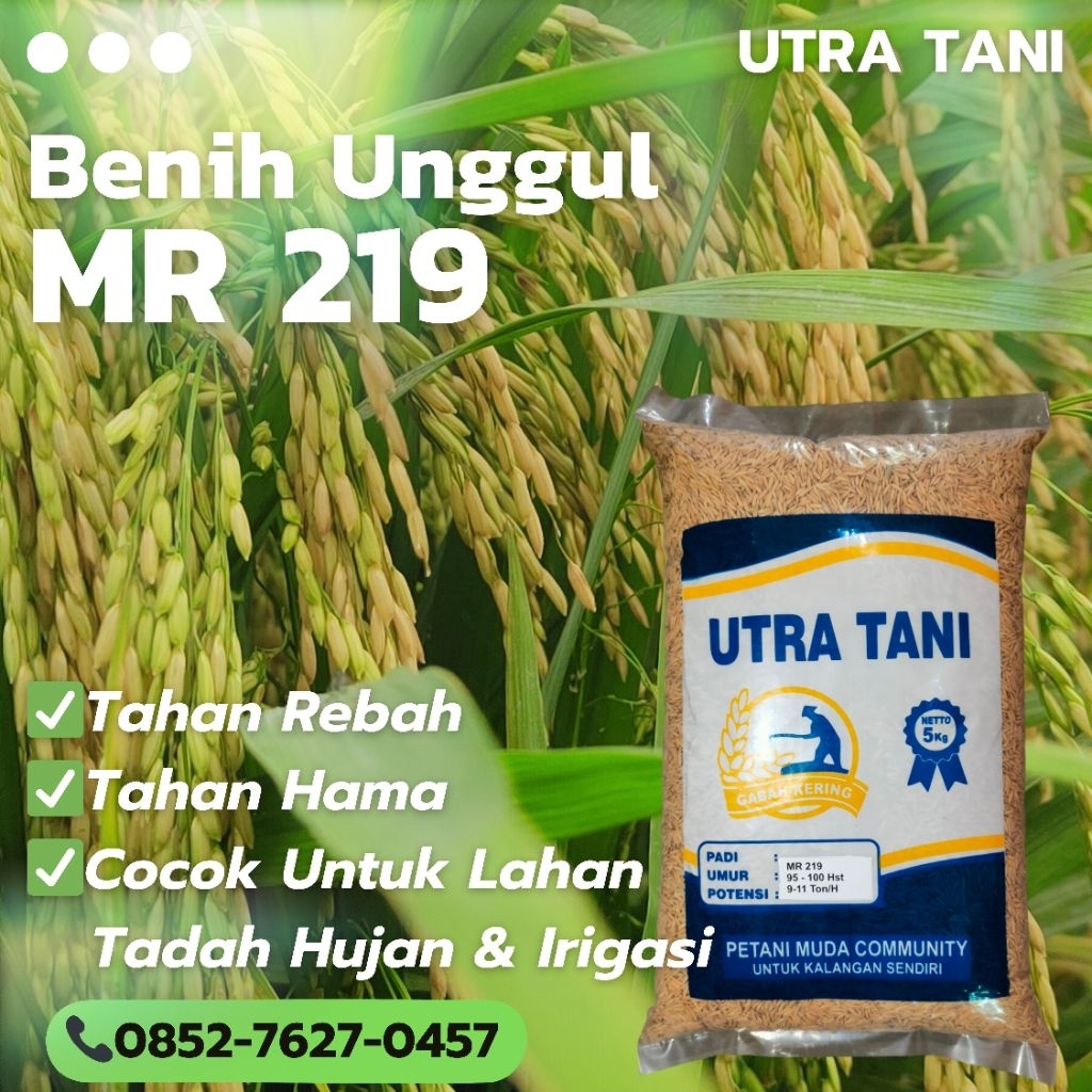 Benih padi Unggul MR 219 5Kg UTRA TANI bibit Mr219 Mr-219 5 kg