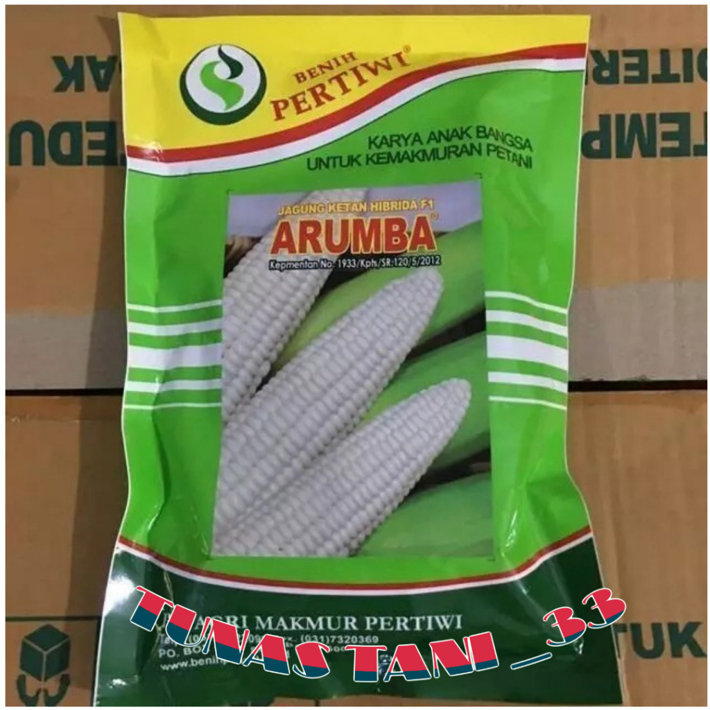 PROMO TERBARU ARUMBA ??? Benih Jagung Putih Pulut Manis ARUMBA Jagung / Benih Jagung Ketan Original 