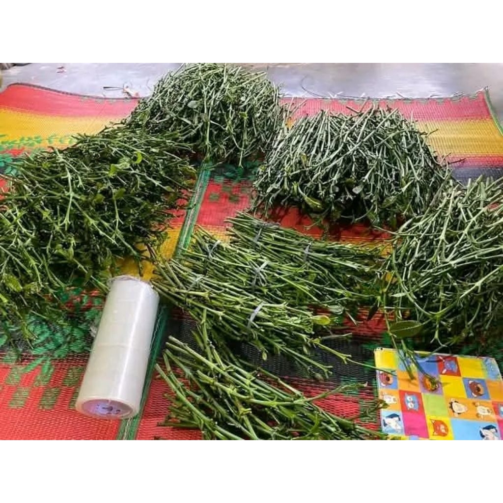 entres kopi raja bagio super 50/30batang