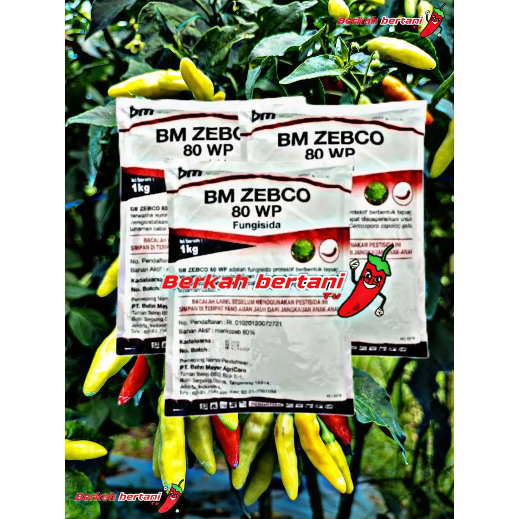 Fungisida BM ZEBCO 80EP 1KG Mengendalikan antraknosa dan layu fusarium