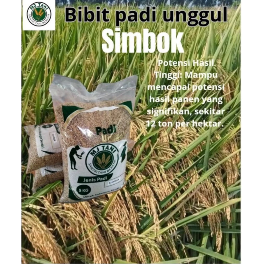 Bibit padi unggul SIMBOK kemasan 5 KG