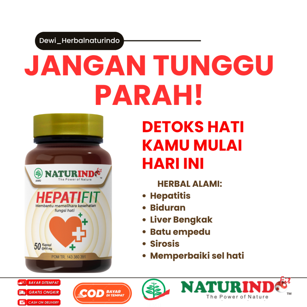 Obat Herbal Batu Empedu Memperbaiki Organ Hati Dan Liver Nyeri Perut